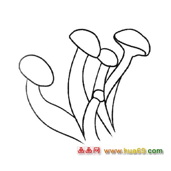 植物簡(jiǎn)筆畫:金針菇1