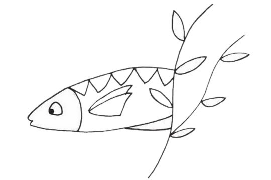 沙丁魚簡筆畫圖片大全作品二