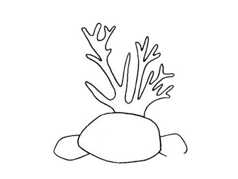 珊瑚簡筆畫圖片大全作品四