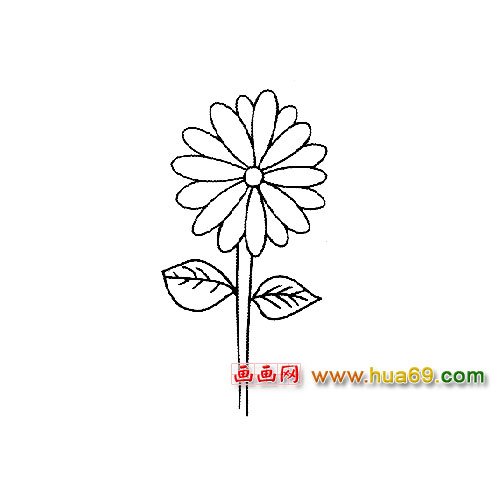 一朵菊花│花卉簡筆畫