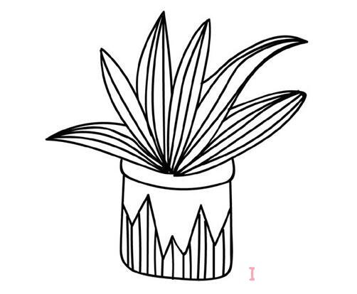 怎么畫綠植盆栽詳細(xì)步驟圖簡筆畫教程涂色