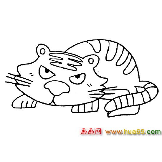 一只老虎│動物簡筆畫6