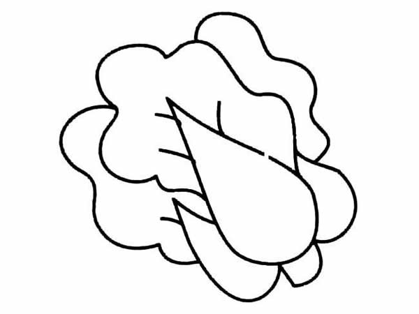 兒童視角的大白菜簡(jiǎn)筆畫(huà)