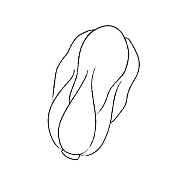 完成的大白菜簡(jiǎn)筆畫(huà)