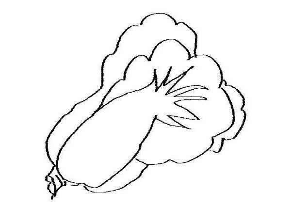 創(chuàng)意大白菜簡(jiǎn)筆畫(huà)