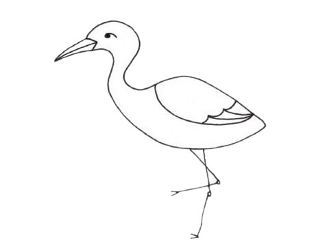 鸕鶿簡筆畫圖片大全作品四