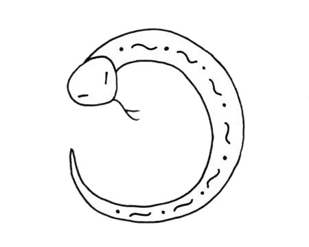 小蛇簡(jiǎn)筆畫(huà)示例