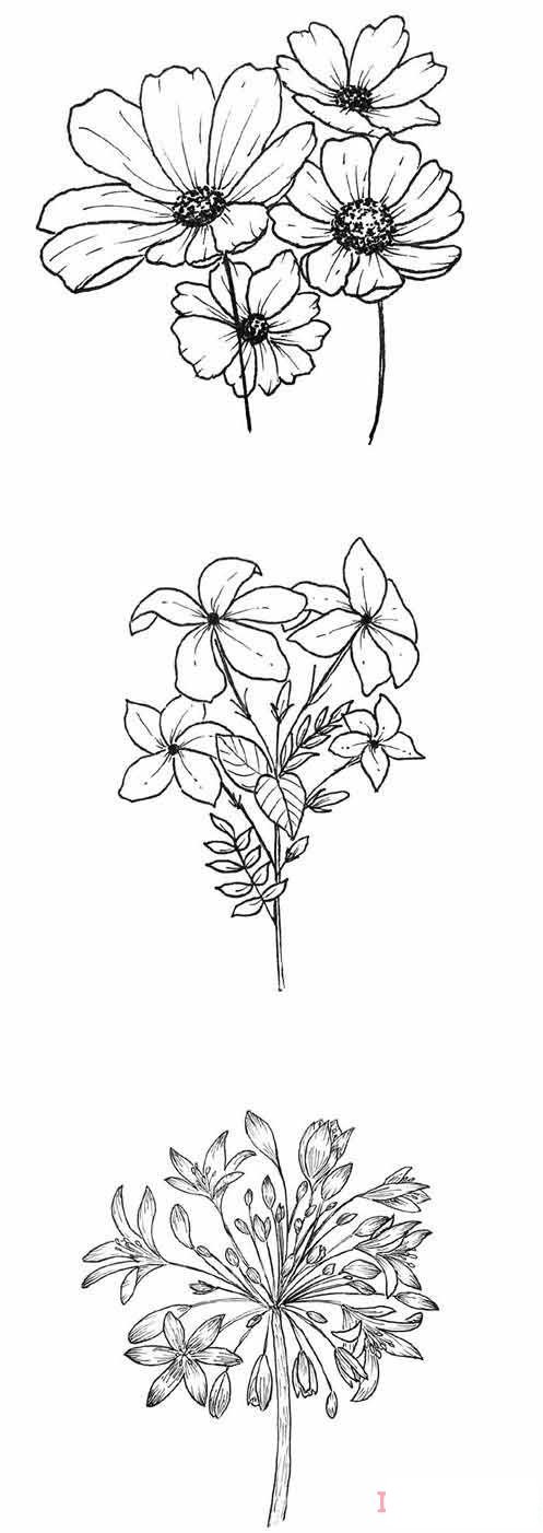 1分鐘簡(jiǎn)筆畫鮮花素描的畫法詳細(xì)步驟簡(jiǎn)單好看