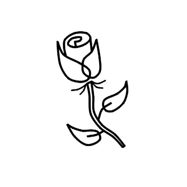 玫瑰花植物花簡筆畫步驟圖片大全