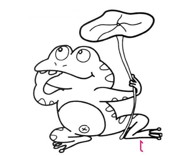 青蛙簡(jiǎn)筆畫圖片大全，可愛的青蛙怎么畫
