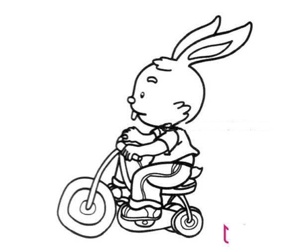 午睡的兔子