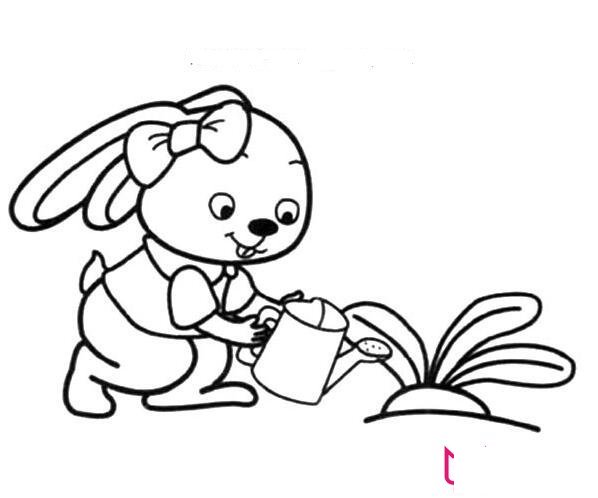 兔子與胡蘿卜