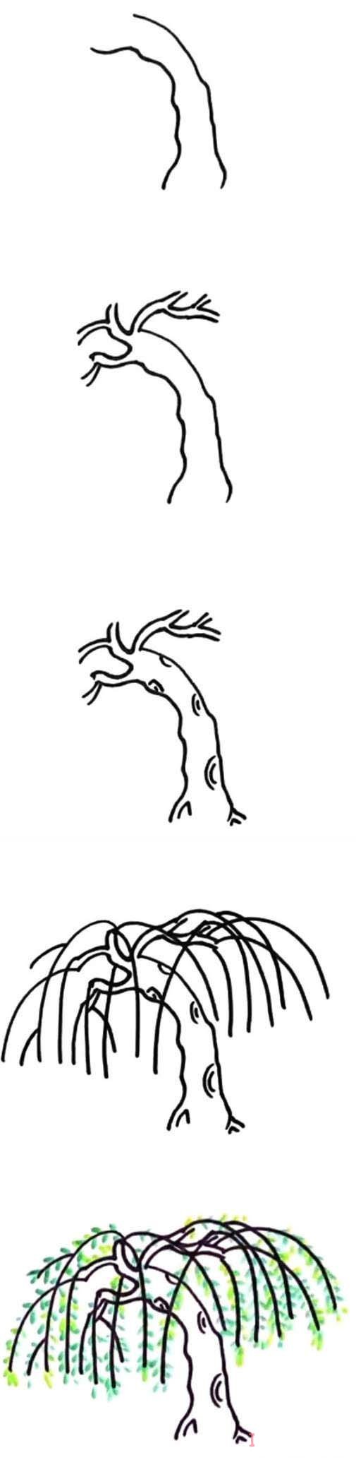 怎么畫(huà)柳樹(shù)詳細(xì)步驟圖簡(jiǎn)筆畫(huà)教程涂色_柳樹(shù)簡(jiǎn)筆畫(huà)圖片