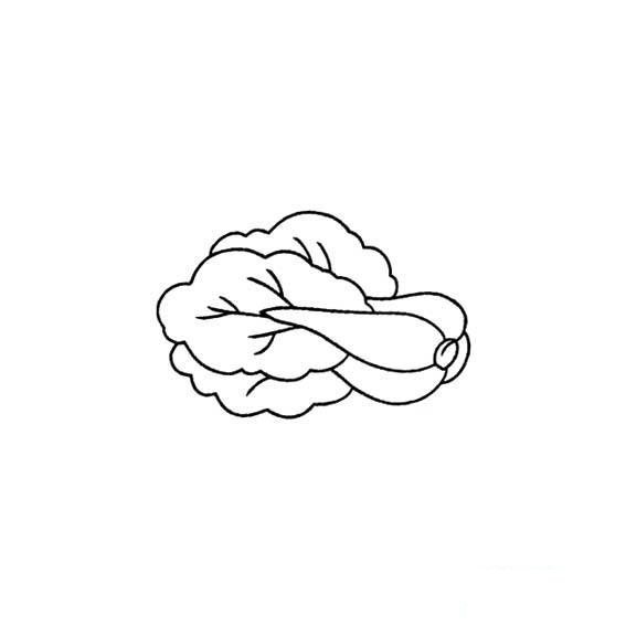 白菜的簡(jiǎn)筆畫(huà)怎么畫(huà)