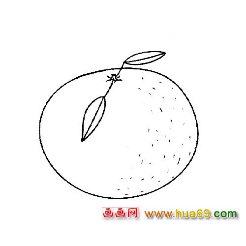 水果簡筆畫：可口橘子4