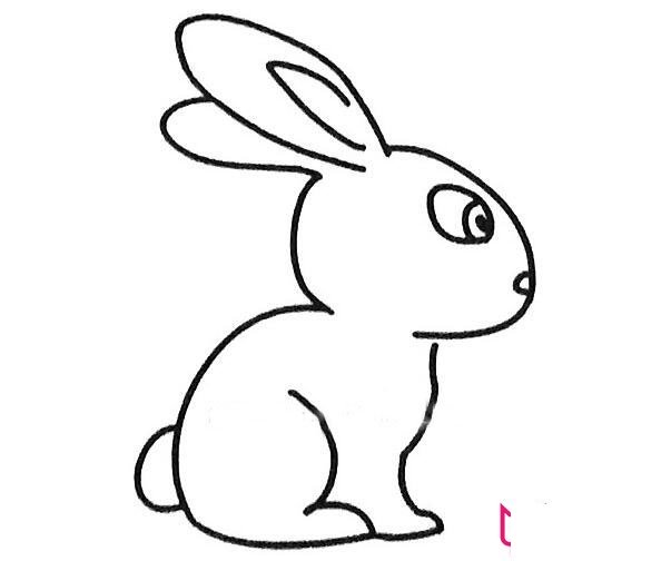 兔子簡(jiǎn)筆畫(huà)圖片大全，超可愛(ài)的小兔子（6張）