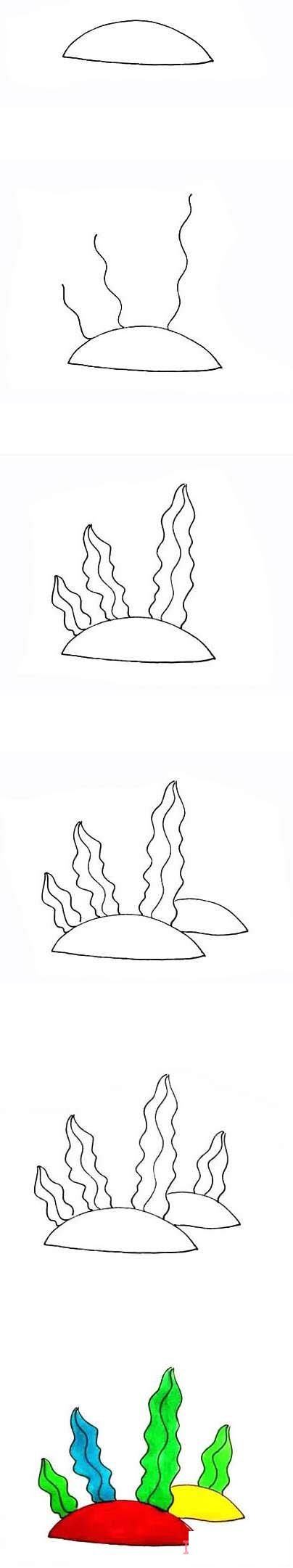 海草簡筆畫怎么畫簡單好看涂顏色