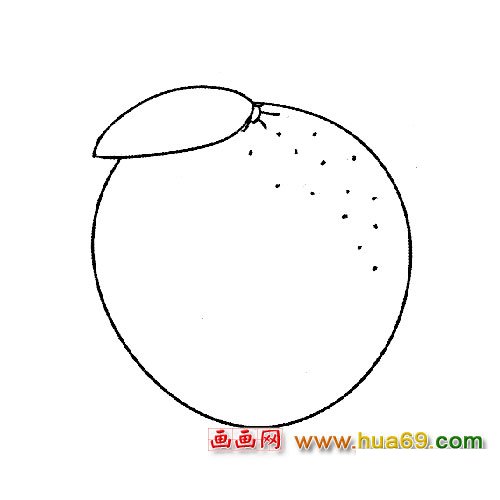 橘子簡筆畫：橘子底部