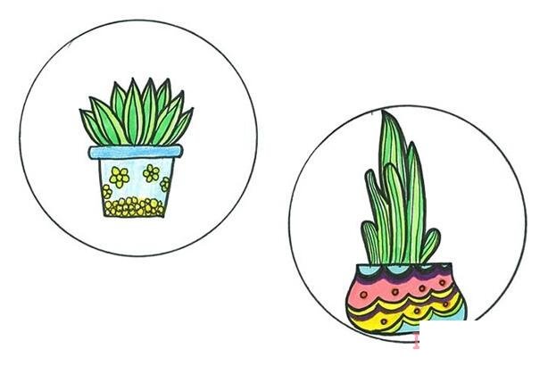 盆摘虎皮蘭怎么畫簡(jiǎn)單_盆栽簡(jiǎn)筆畫圖片